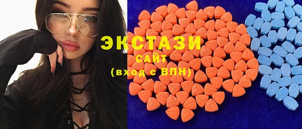 ECSTASY Богородицк