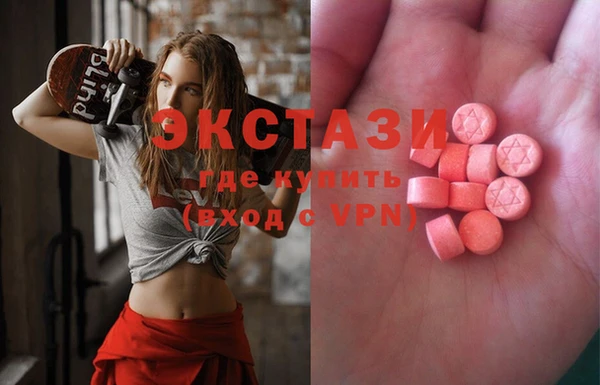 ECSTASY Богородицк